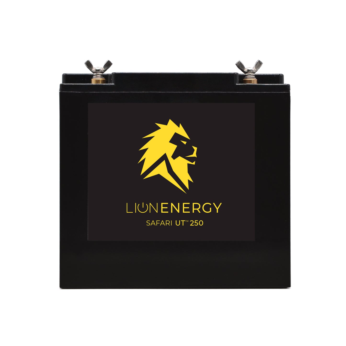 LION SAFARI UT 250