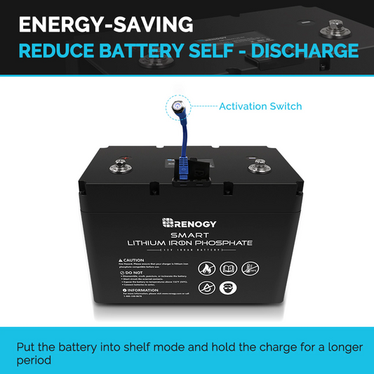 Renogy 12V 100Ah Smart Lithium Iron Phosphate Battery